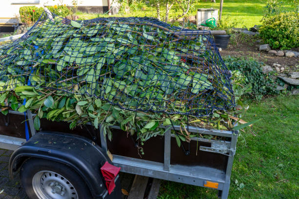 Best Appliance Removal  in Holyoke, MA
